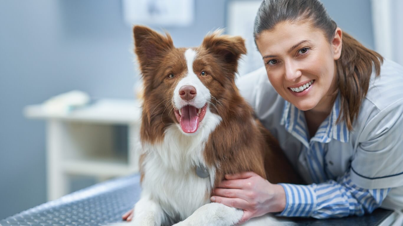 Grooming Guide: How Often Should You Bathe Your Pets?